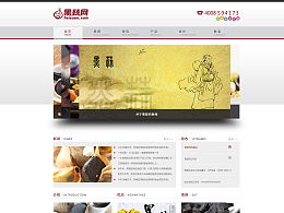 moorel的主頁 Zcool網頁制作的藝術與創新