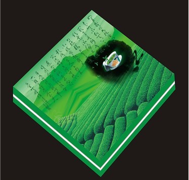 福建印刷行業(yè)的領軍者 從區(qū)域標桿到技術創(chuàng)新